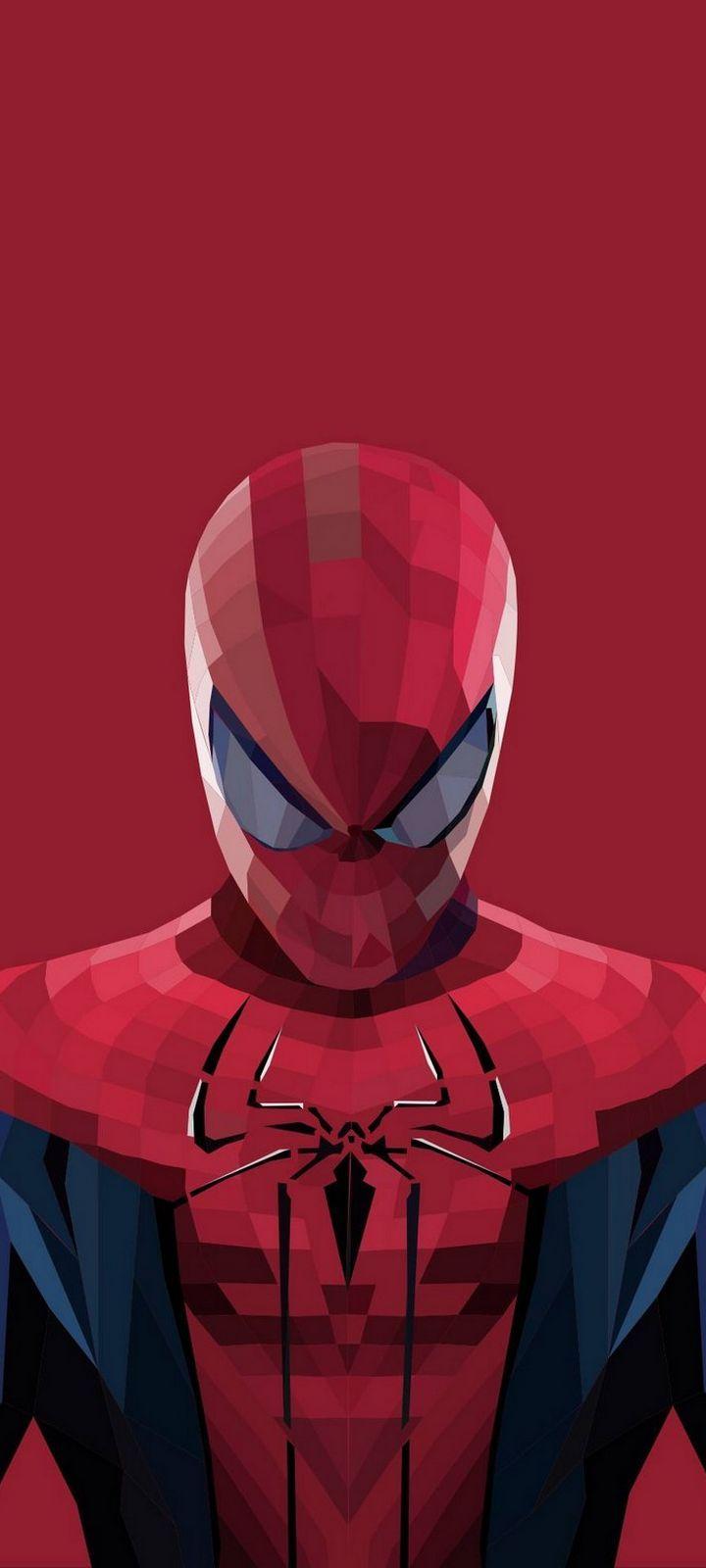 720x1600 Superhero Spiderman Cartoon Wallpaper - [720x1600]