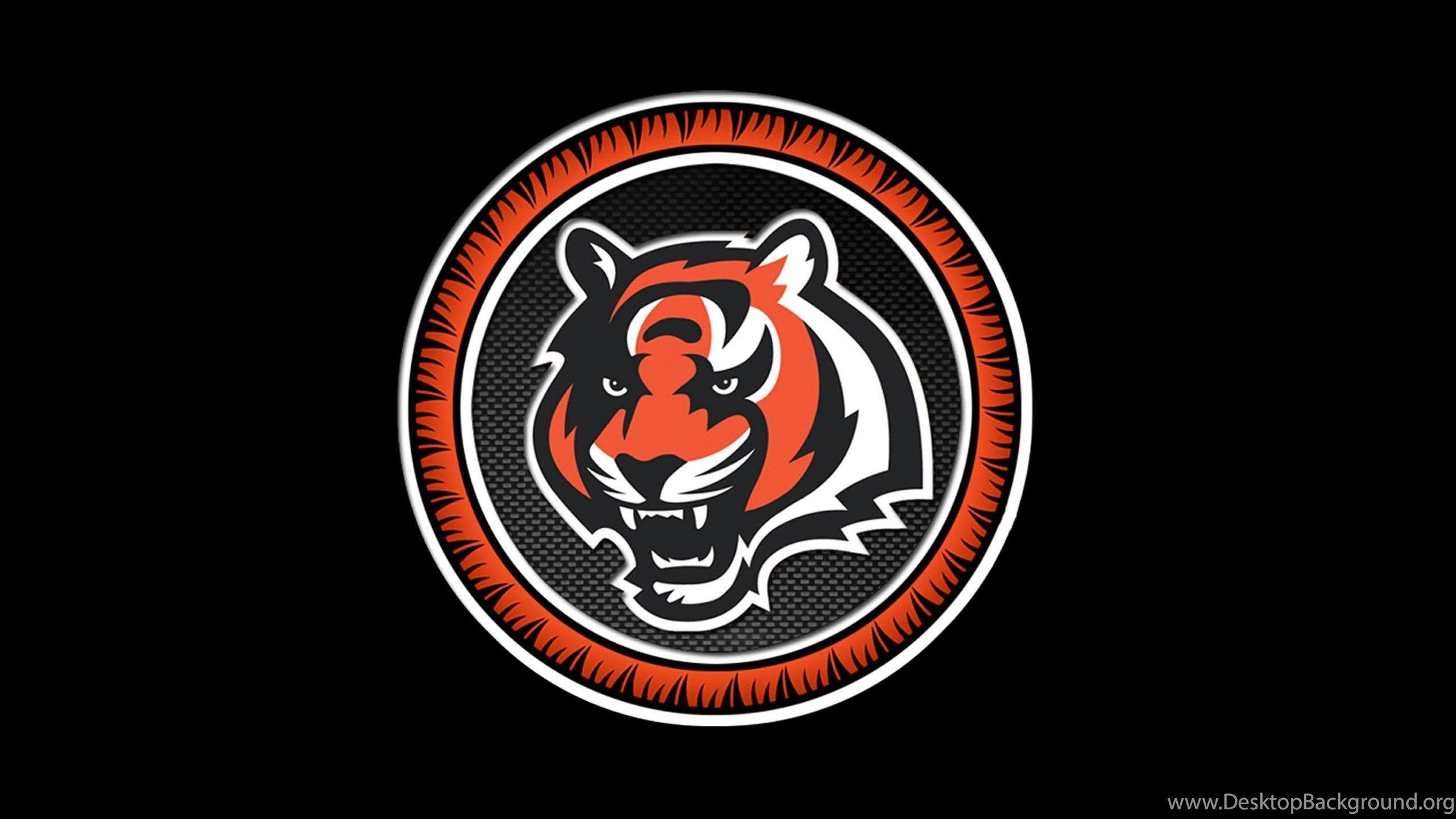 Cincinnati Bengals cincinnati nfl HD phone wallpaper  Peakpx