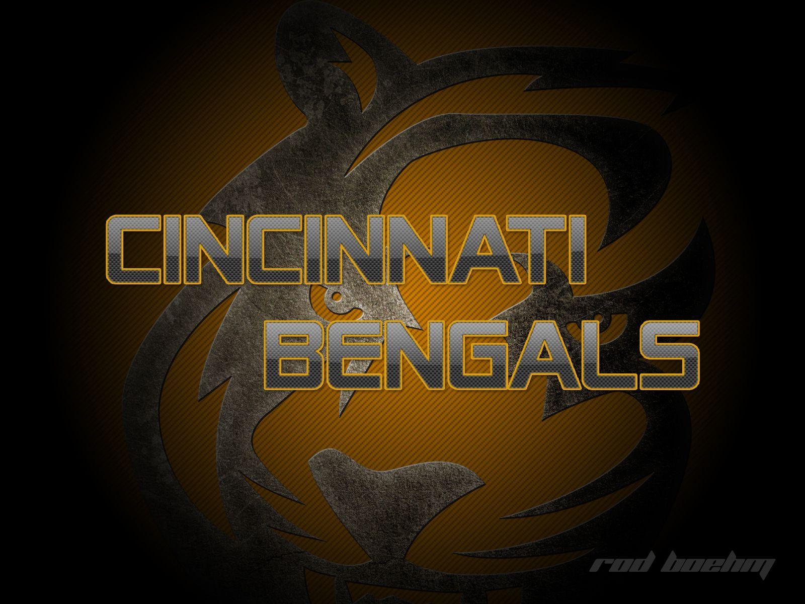 1600x1200 cincinnati bengals wallpaper