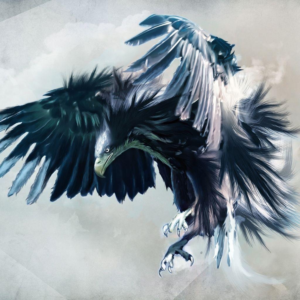 1024x1024 eagles Ones. HD wallpaper