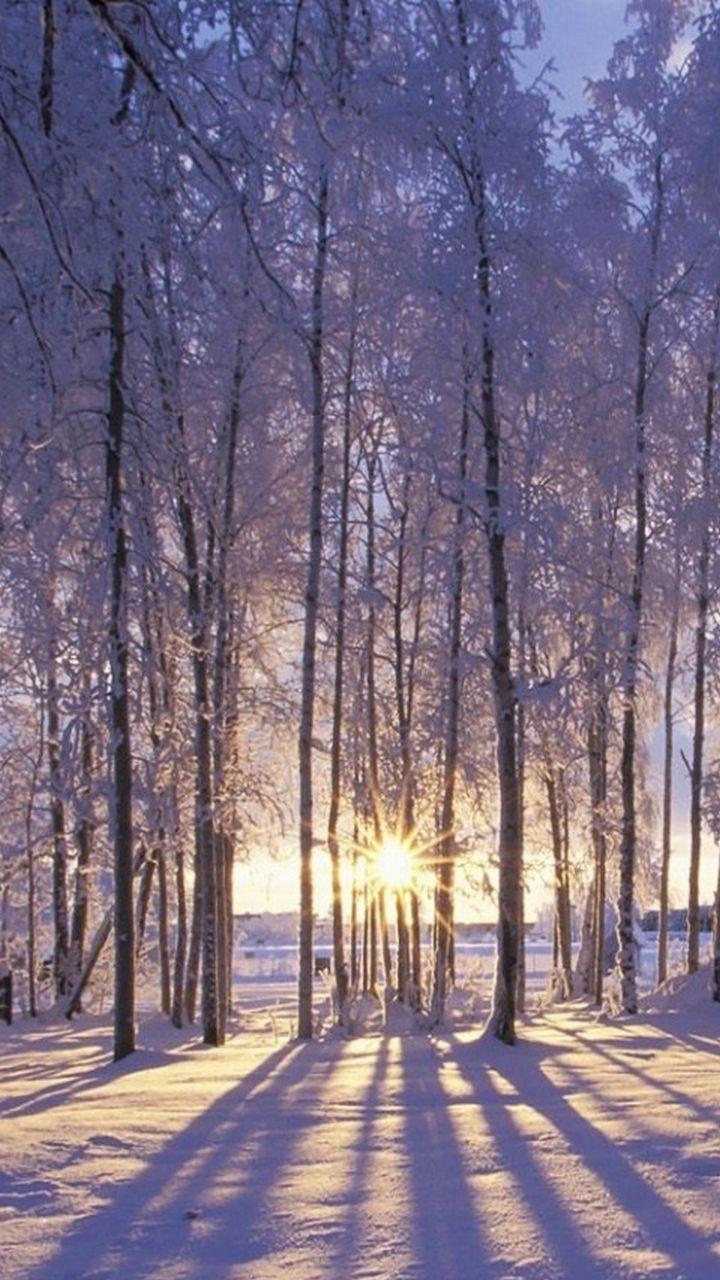 Tumblr Winter Wallpapers Top Free Tumblr Winter Backgrounds Wallpaperaccess
