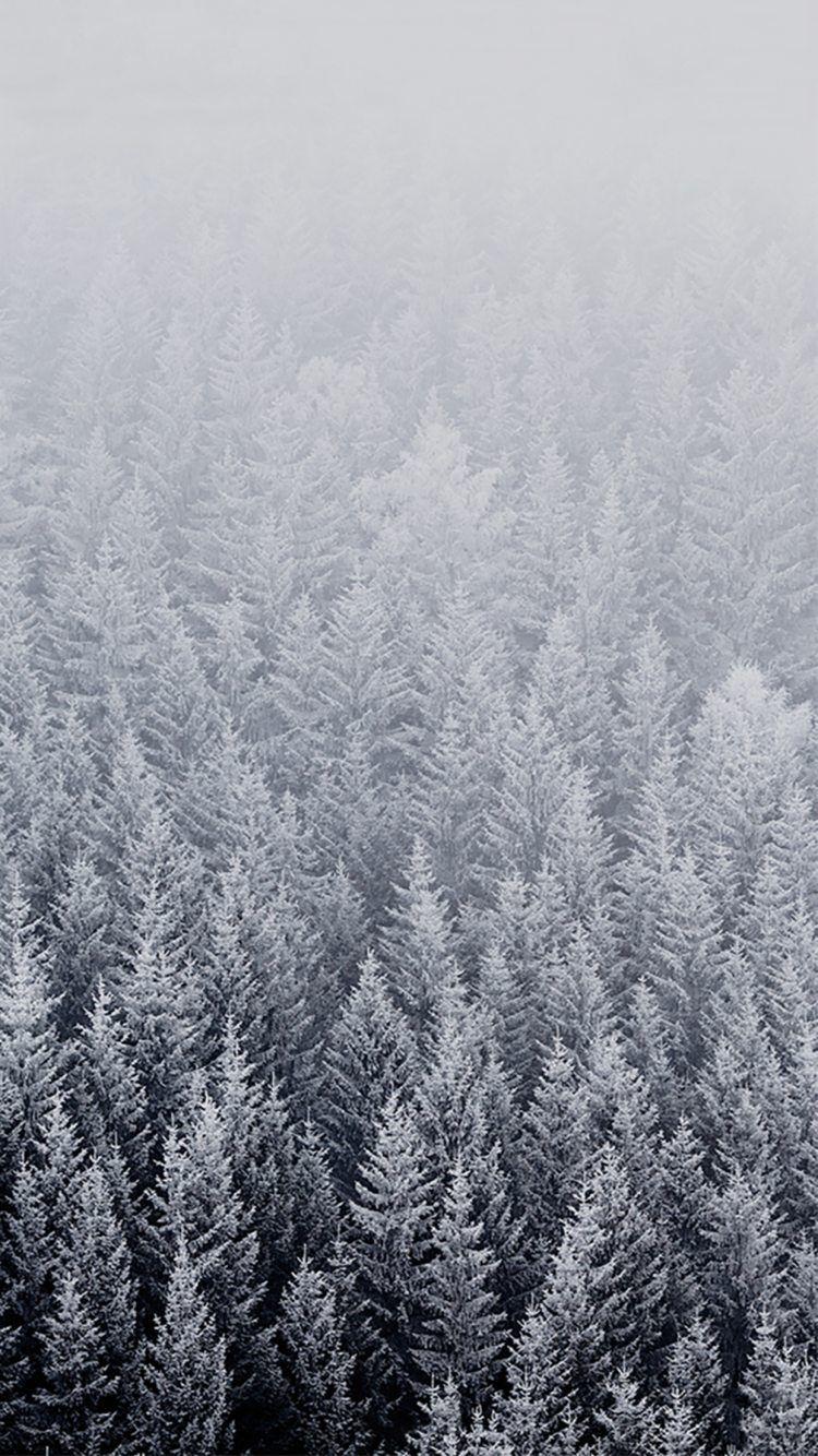 Featured image of post Hintergrundbilder Winter Tumblr Mit unserem wintermix holen sie sich die kalte jahreszeit ganz einfch auf den bildschirm
