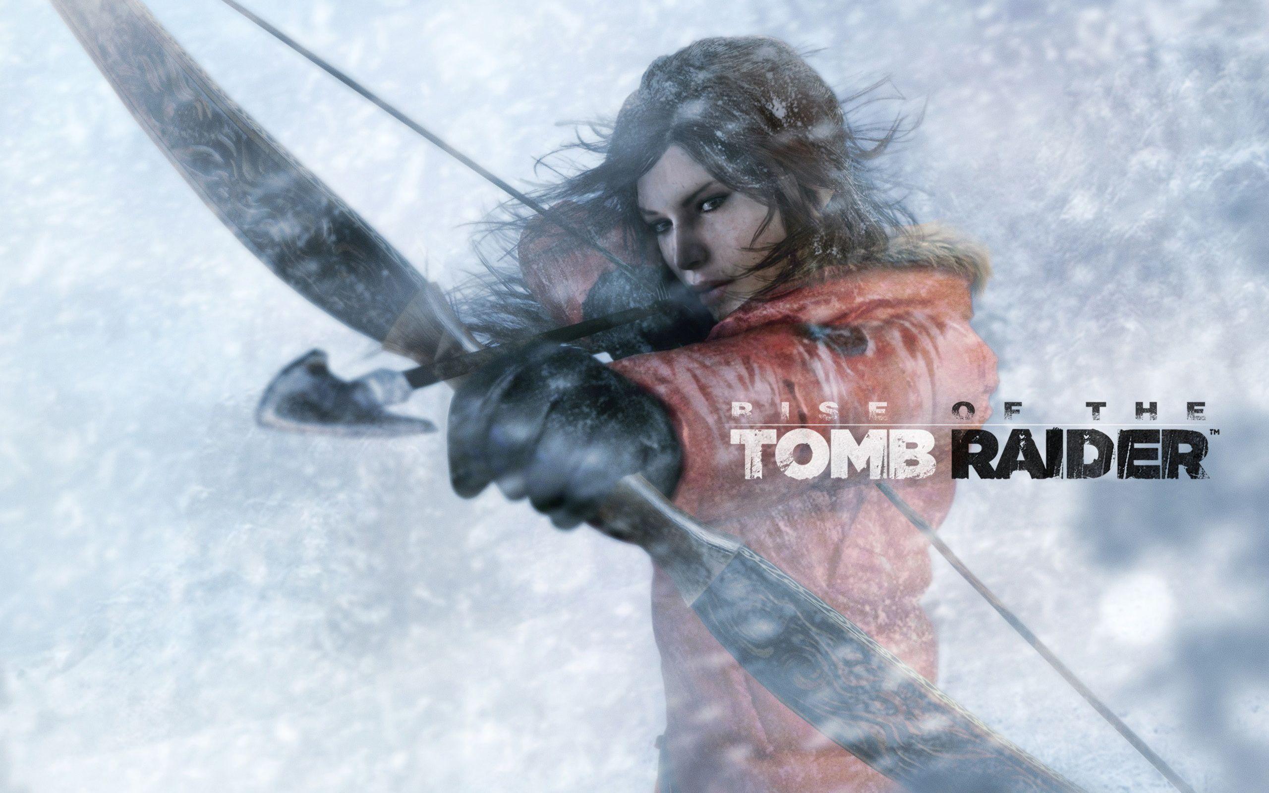 Hình nền 2560x1600 Rise Of The Tomb Raider