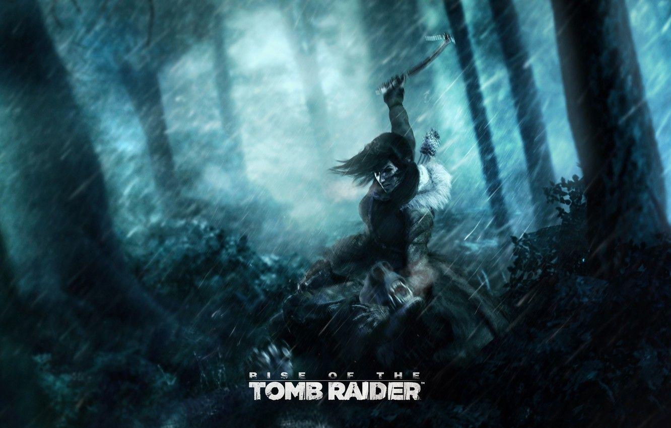 1332x850 Hình nền rừng, cây, mưa, chịu, Tomb Raider, Lara croft