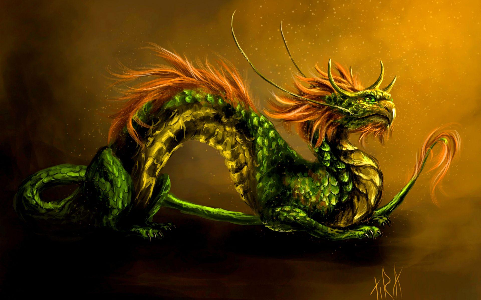 Chinese Dragon Wallpapers - Top Free Chinese Dragon Backgrounds