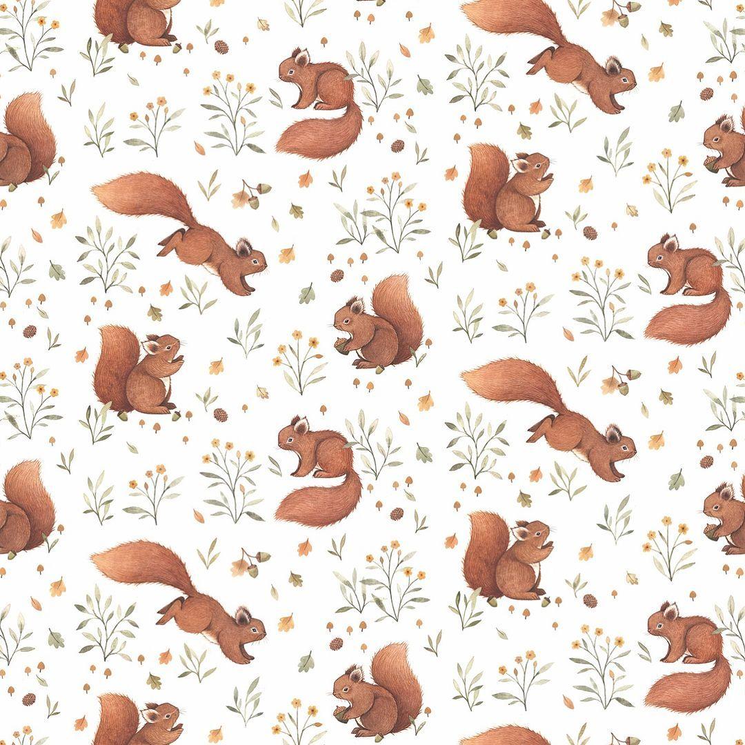 1080x1080 Squirrel. Squirrel art, Squirrel