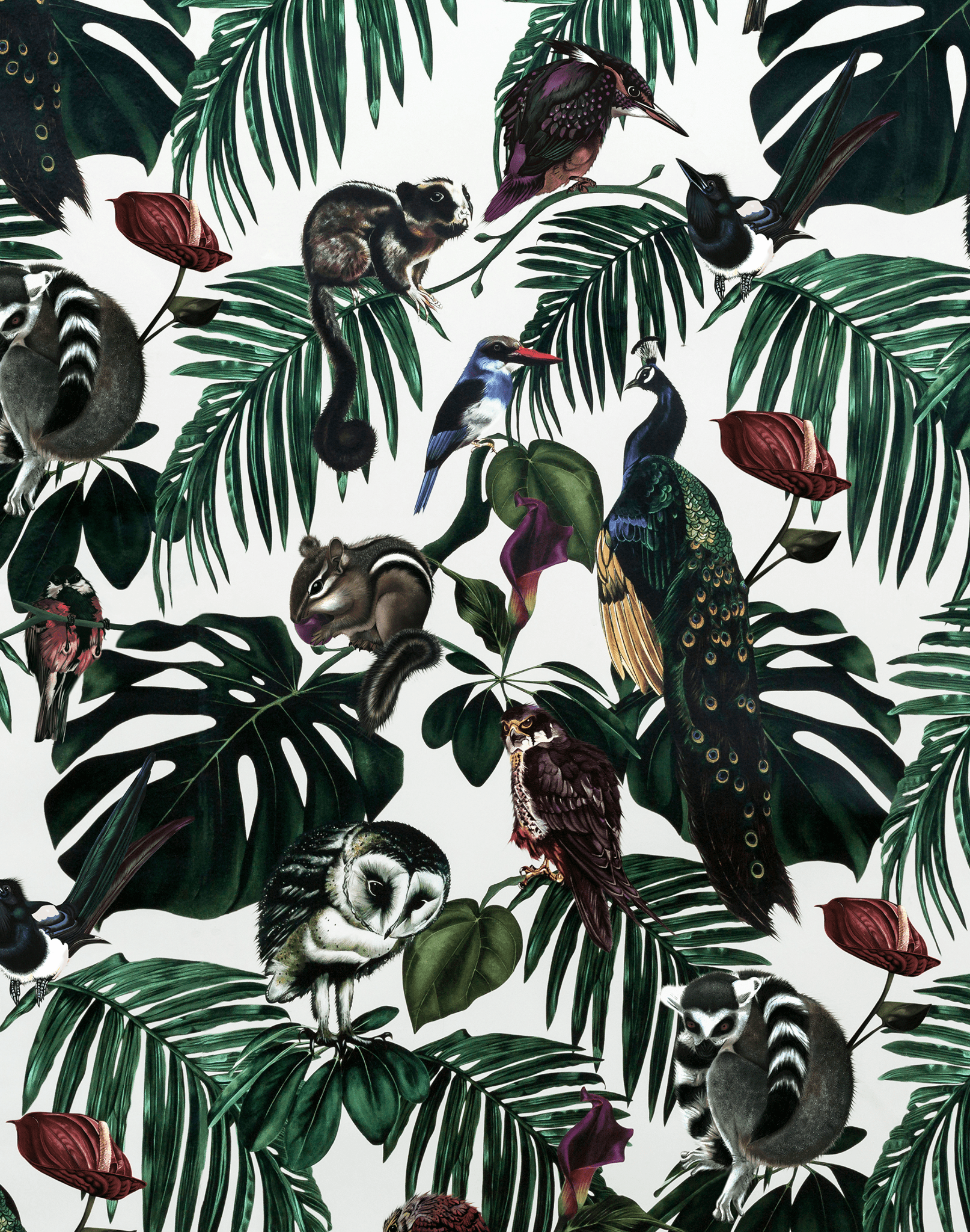 Toucan Pattern Wallpapers - Top Free Toucan Pattern Backgrounds ...