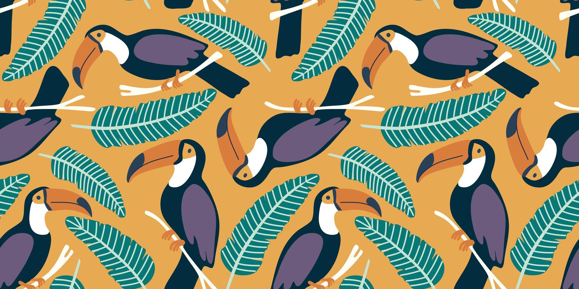 2000x1000 Wildlife Treasures Toucans