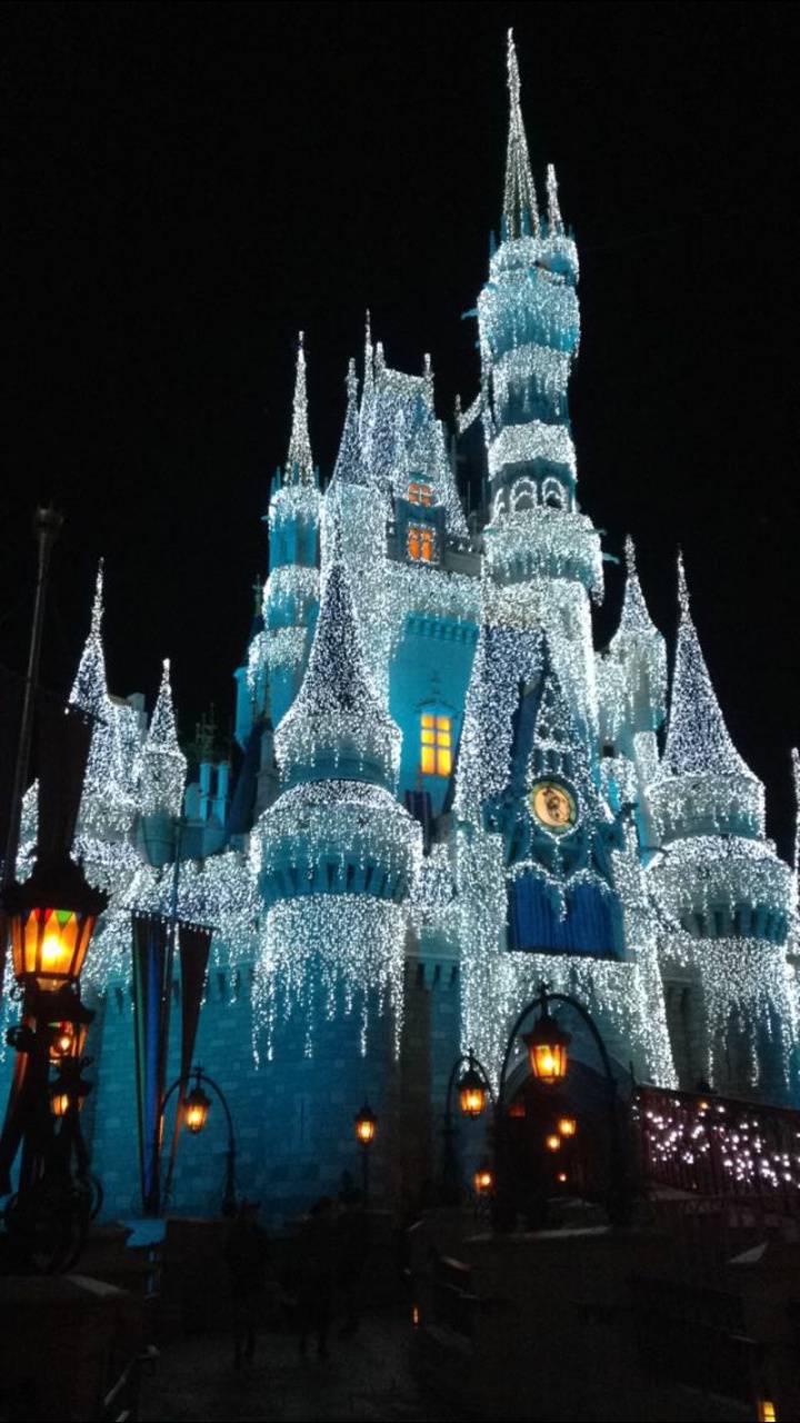 720x1280 Magic kingdom Wallpaper