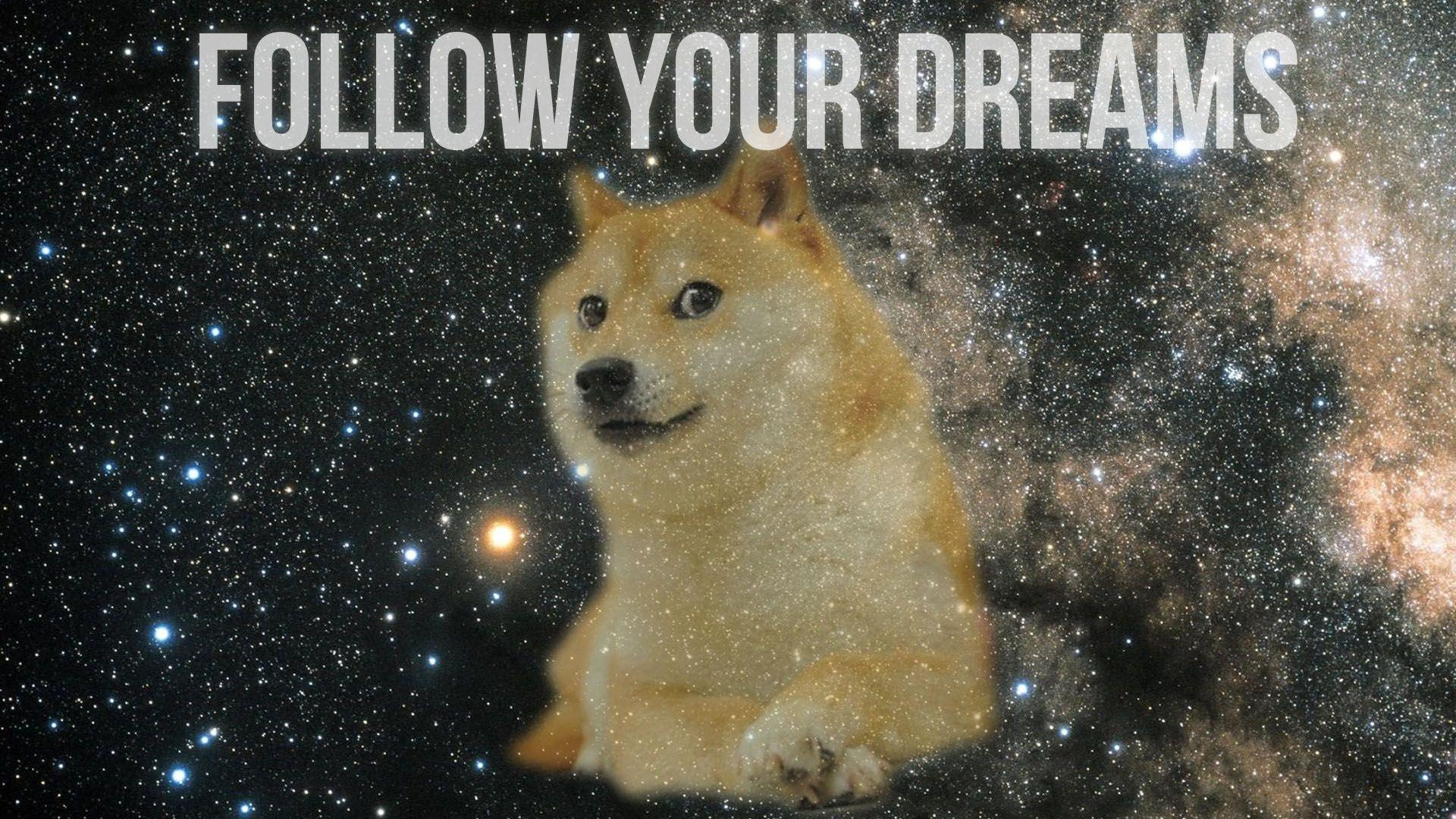 1920x1080 Doge Follow Your Dreams HD Wallpaperx1080