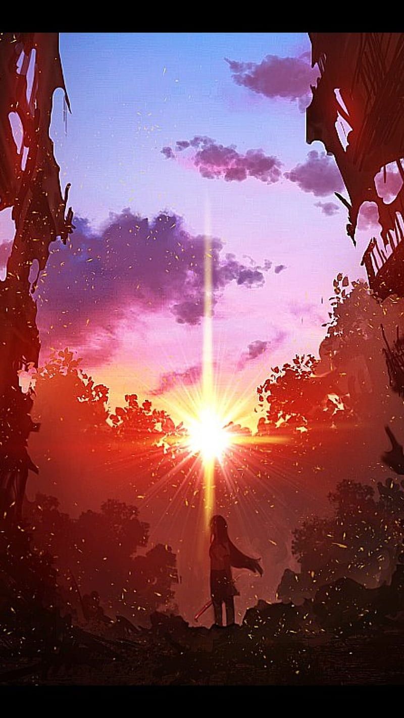 800x1422 Sunset city, anime, girl, pixiv, sun