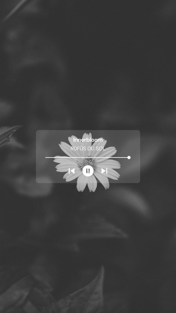 736x1308 Innerbloomüfüs du Sol (Wallpaper)