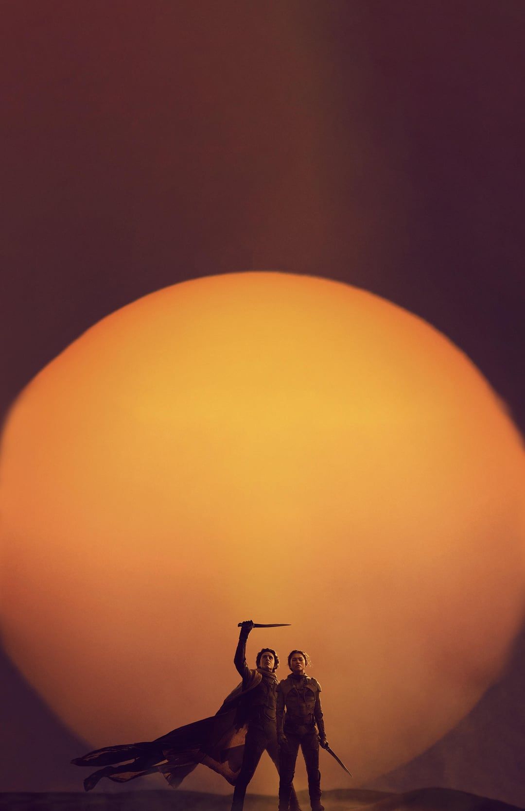 1080x1669 Dune Part 2 Wallpaper
