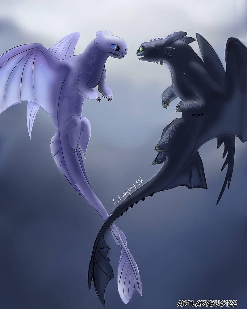 800x1000 Toothless X Luna, dragon, lightfury