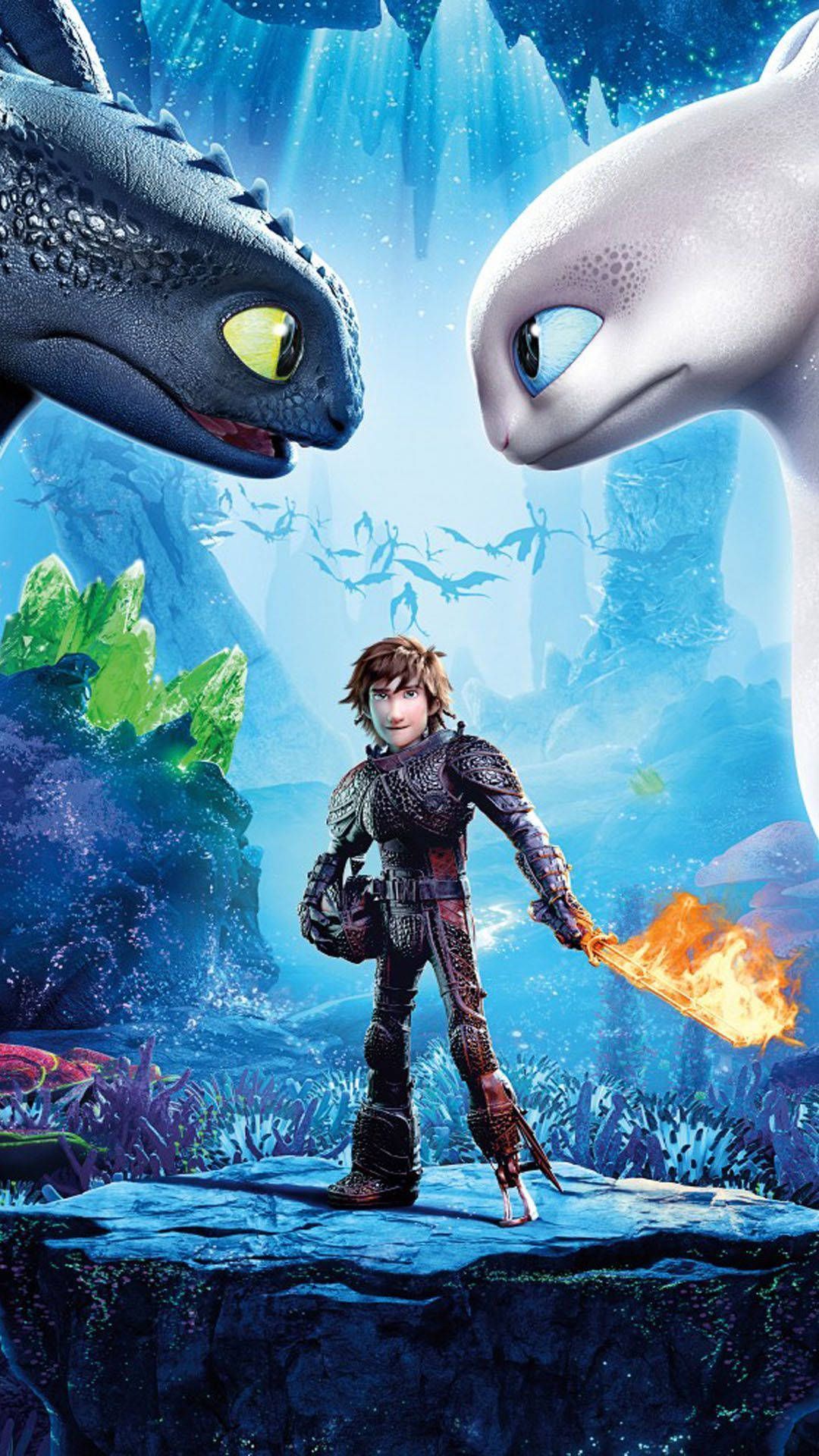 1080x1920 How To Train Your Dragon Night Light
