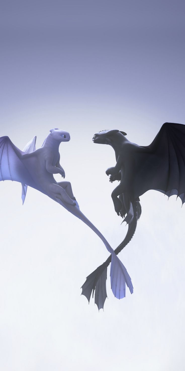 736x1472 Night and light fury, love in air, dragons, flight, 1080x2160 wallpaper