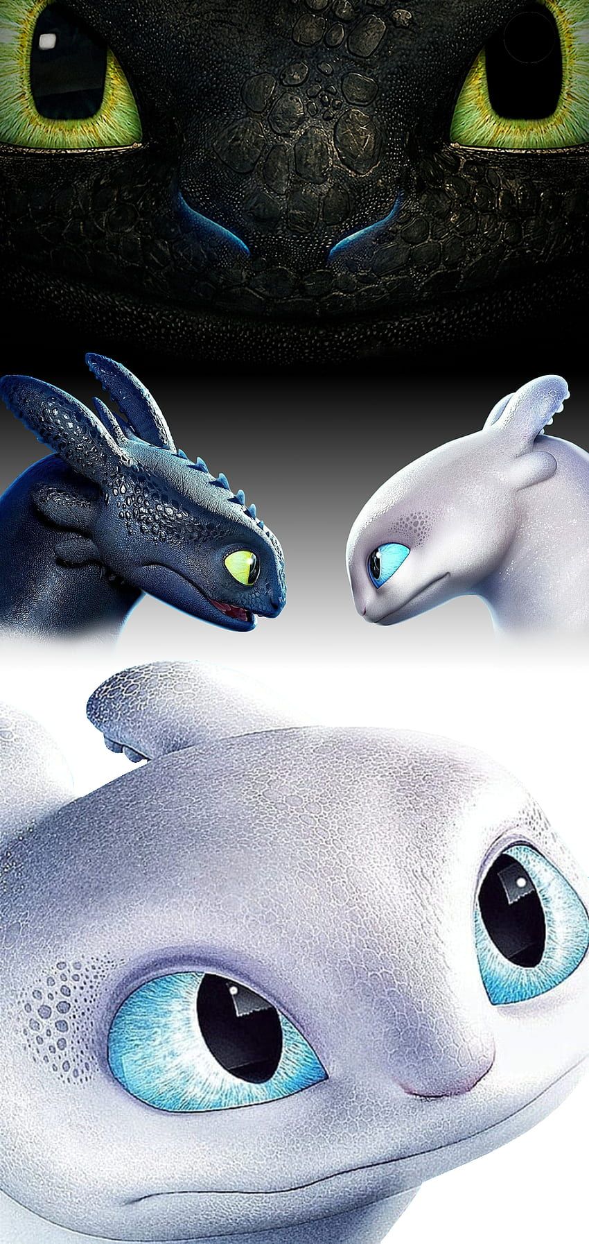850x1794 Toothless and light fury HD wallpaper