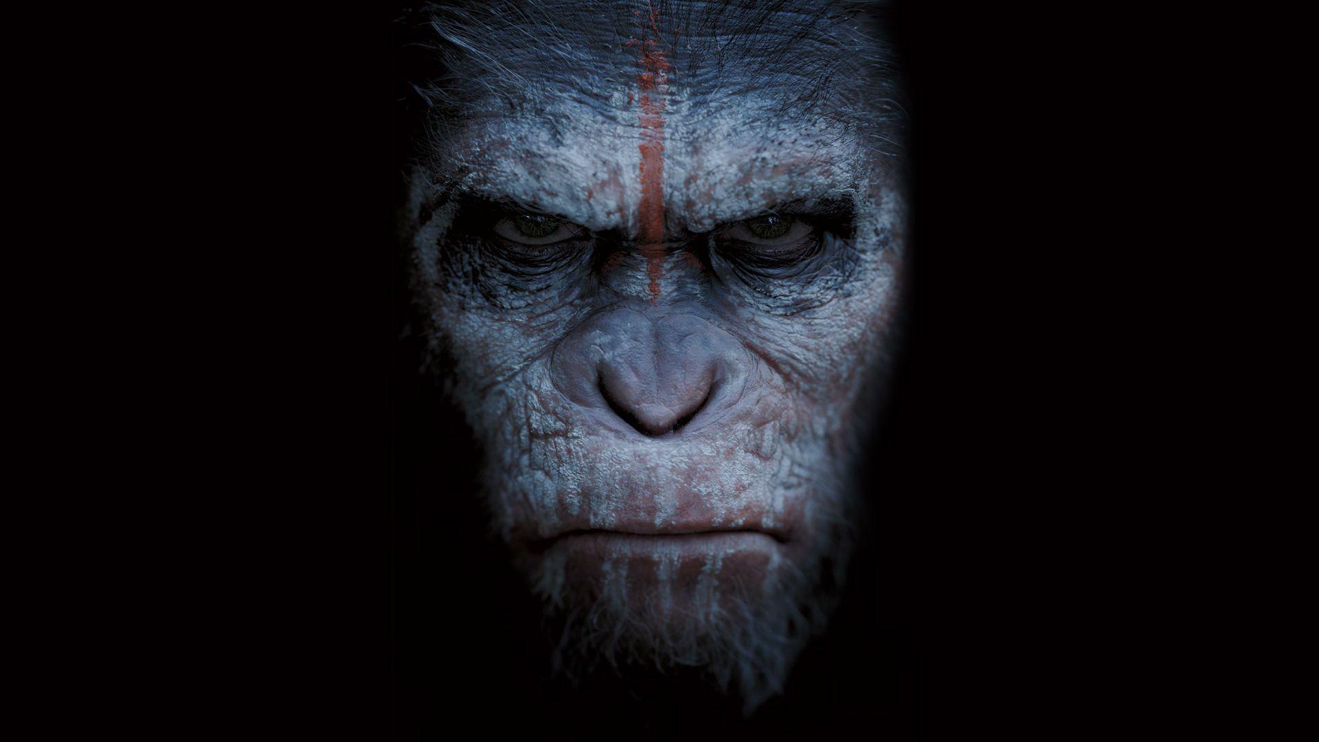 Planet of the Apes Wallpapers - Top Free Planet of the Apes Backgrounds -  WallpaperAccess
