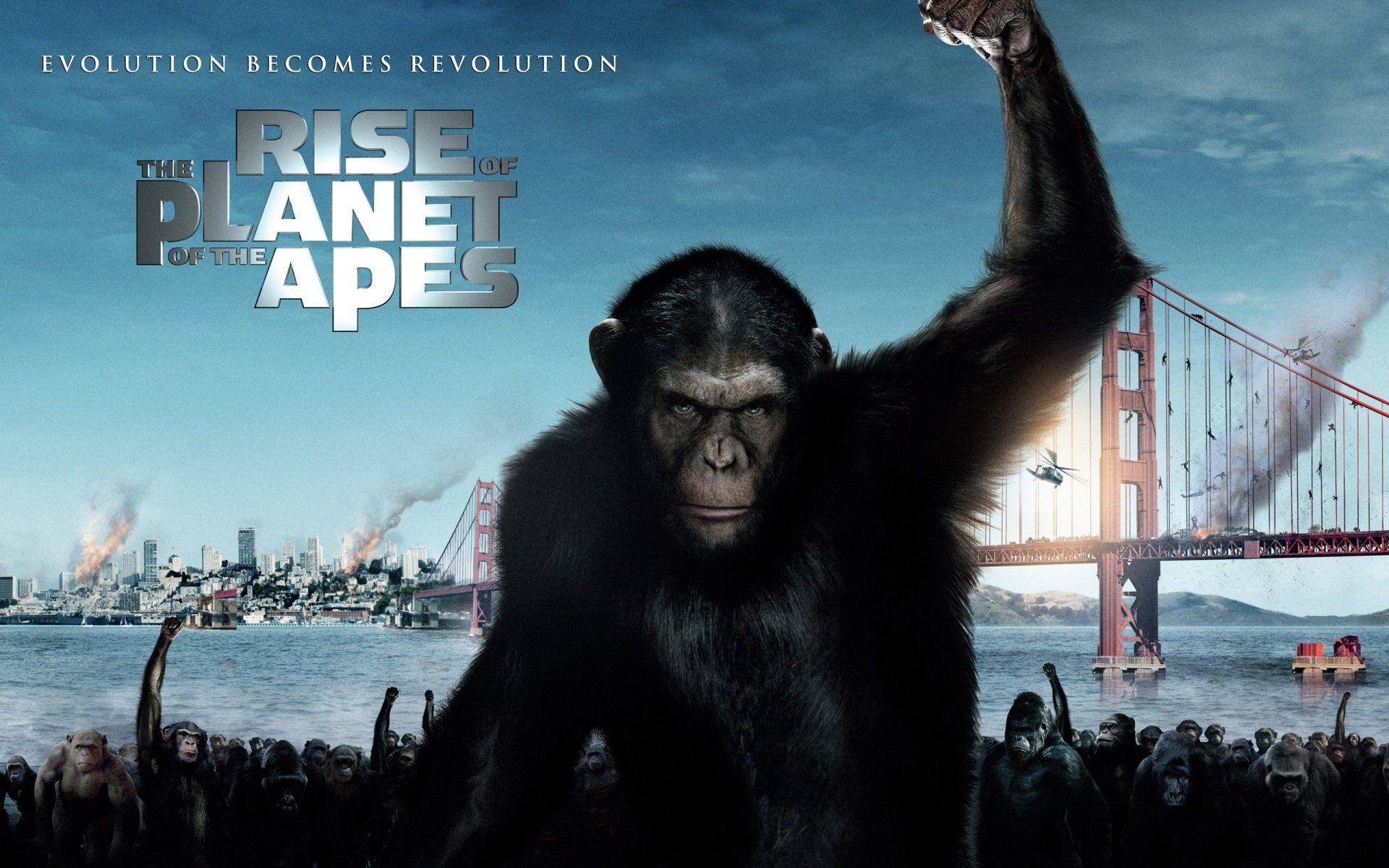 of the Apes Wallpapers Top Free of the Apes Backgrounds