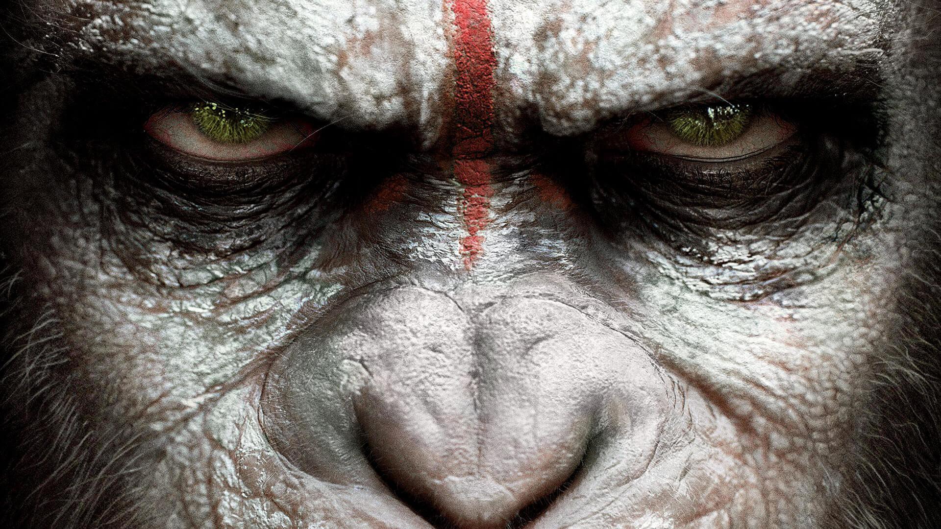 Planet of the Apes Wallpapers - Top Free Planet of the Apes Backgrounds -  WallpaperAccess