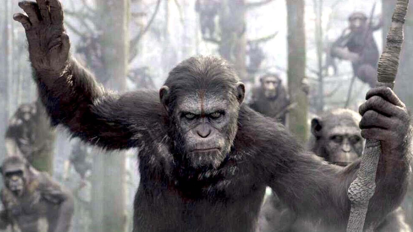 1350x759 Dawn Of The Planet Of The Apes wallpaper, Movie, HQ Dawn Of
