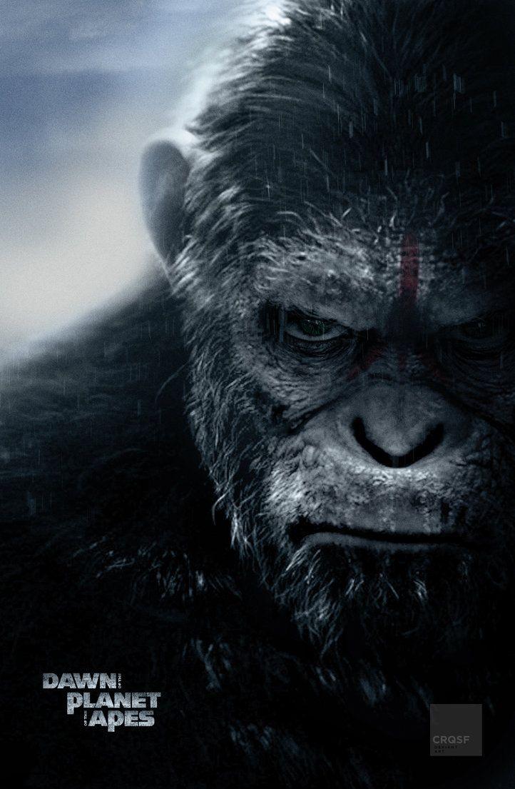 Planet of the Apes Wallpapers - Top Free Planet of the Apes Backgrounds ...