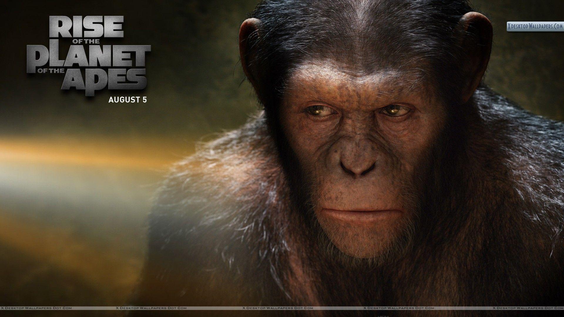 планета обезьян телефон