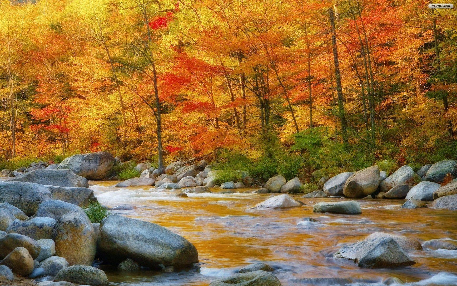 New Hampshire Wallpapers - Top Free New Hampshire Backgrounds ...