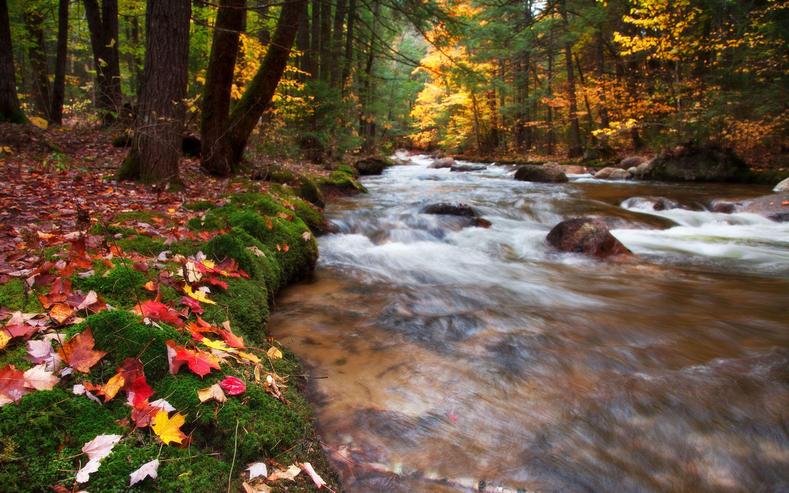 2560x1600 New Hampshire Wallpaper 2560x #A3DGZ39