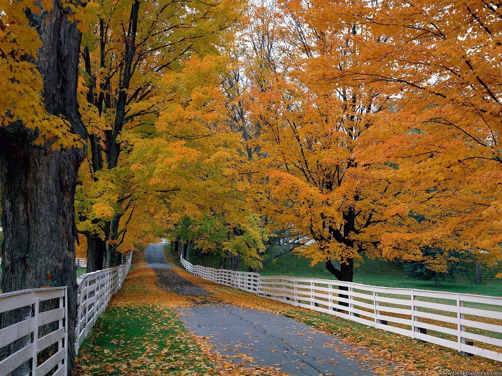 1600x1200 Desktop Wallpaper Natural Background Scenic Backroad