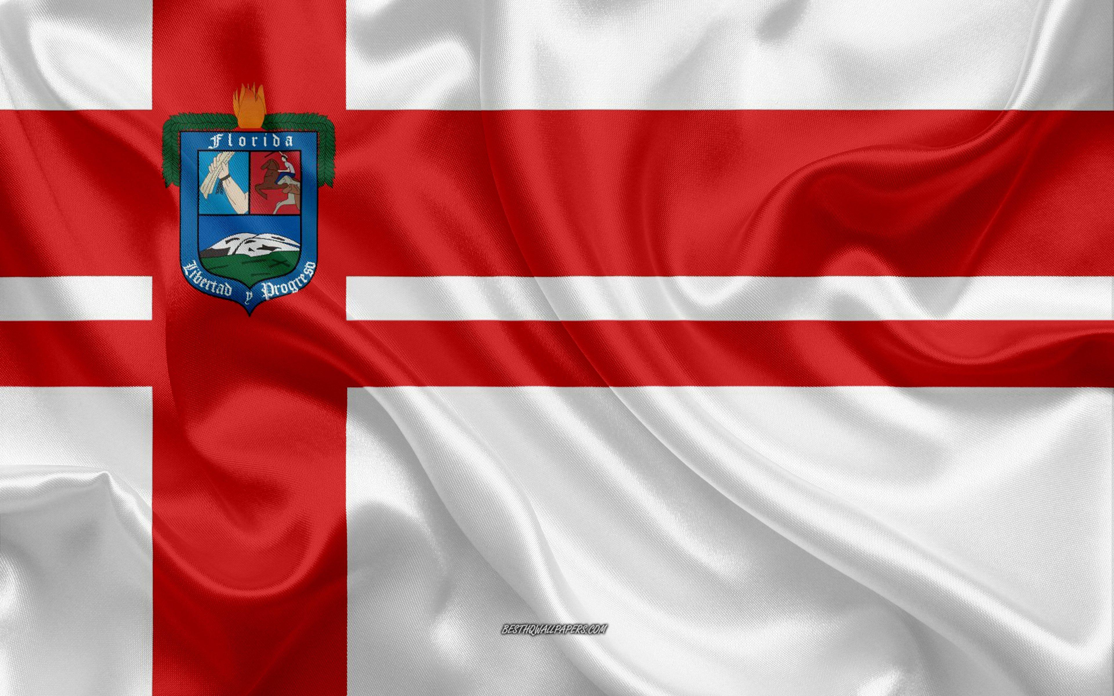 Florida Flag by CarsPs2V on DeviantArt