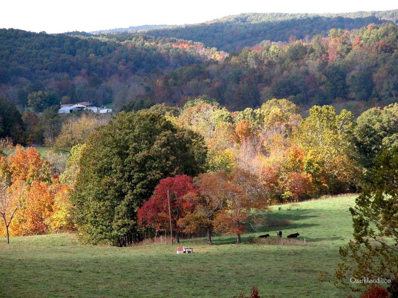 Missouri resort that inspired Netflix's 'Ozark' selling for $7M