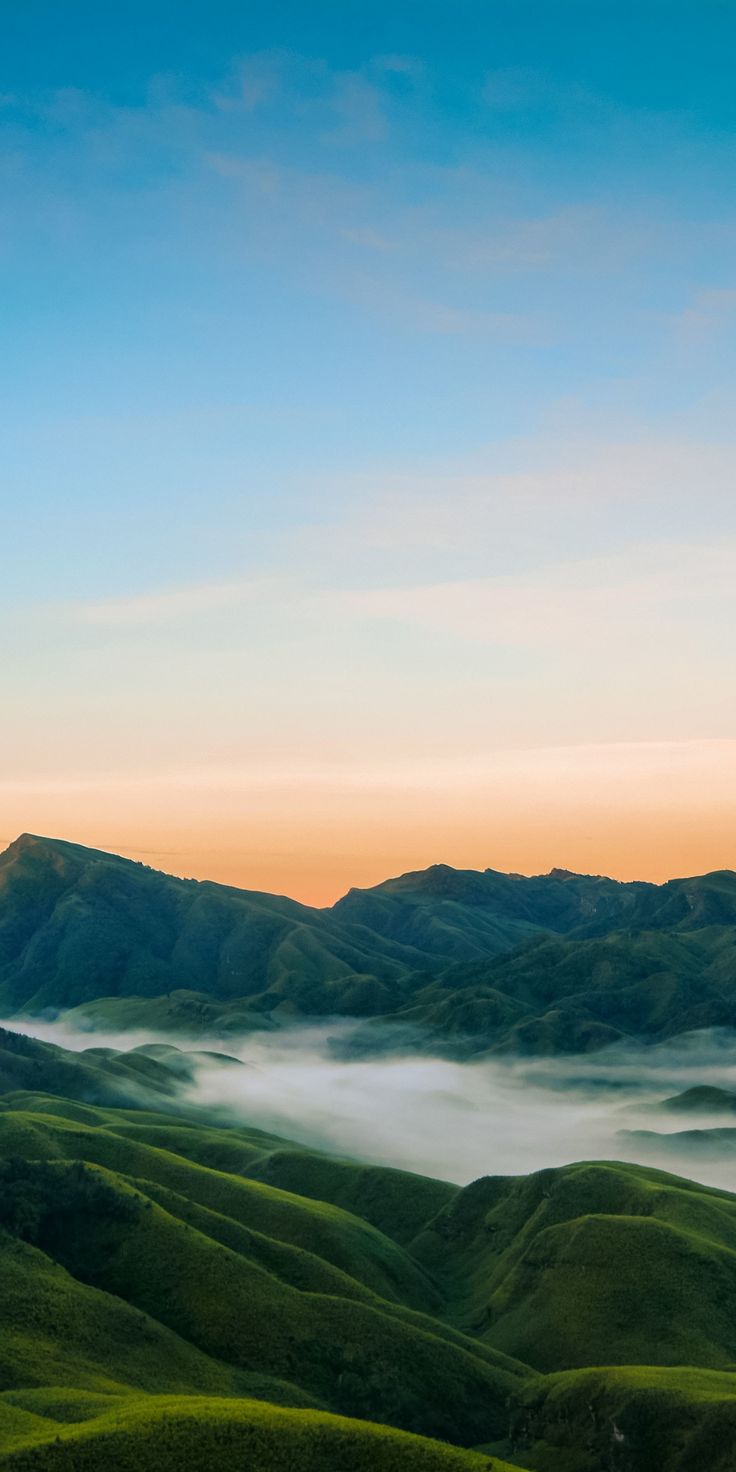 736x1472 India, nature, mist, 1080x2160 wallpaper