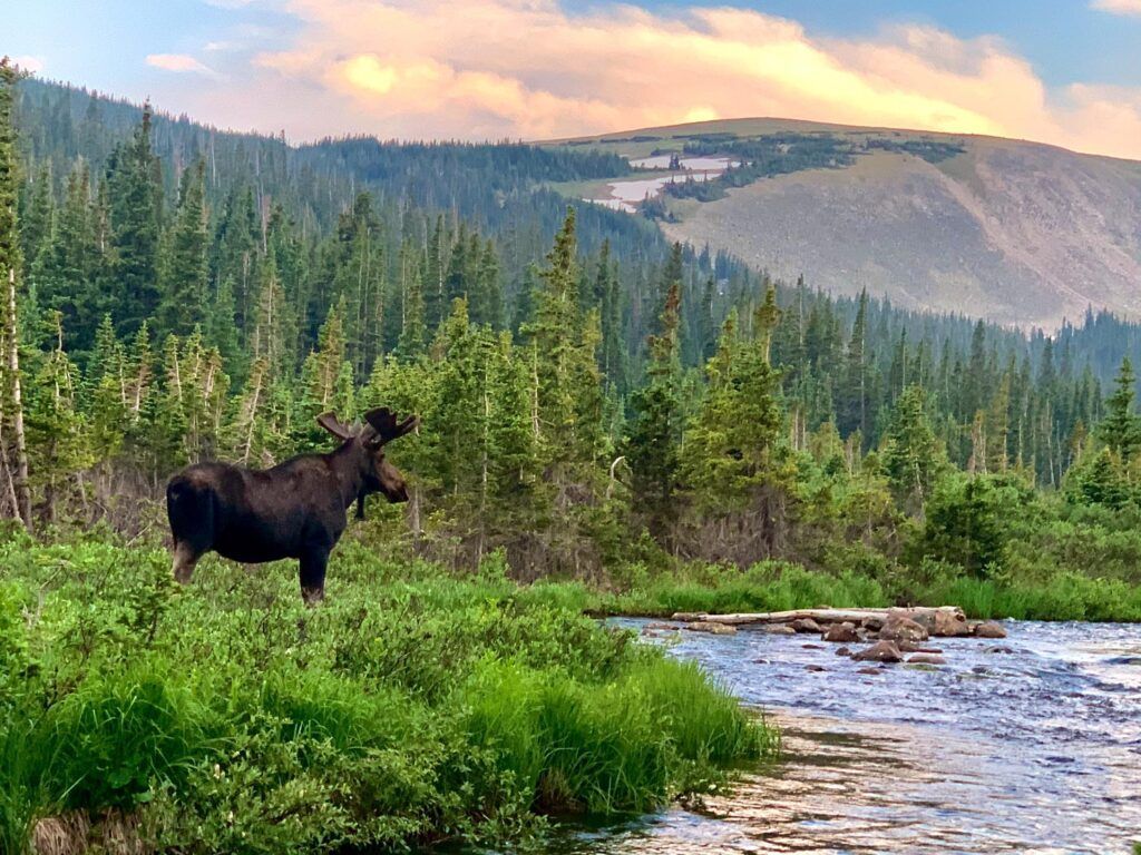 1024x768 Indian Peaks Wilderness Offers Amazing