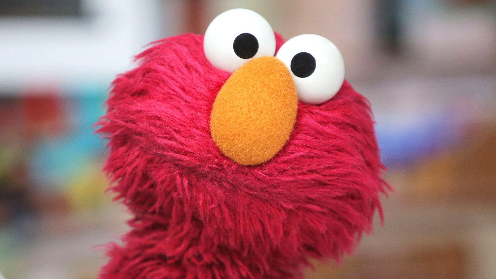 1920x1080 Elmo's feud with a pet rock has