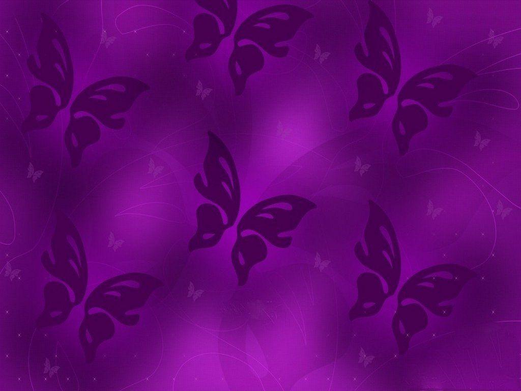 1024x768 1265) Purple Butterfly Best Wallpaper