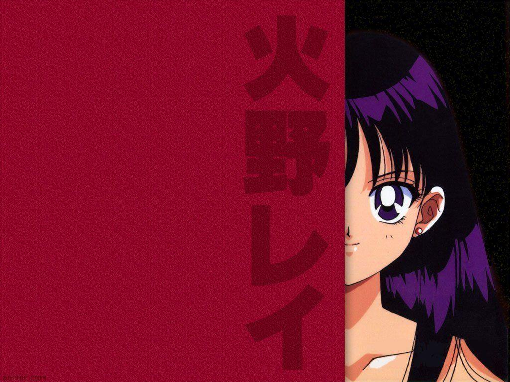 1024x768 Sailor Moon Moon wallpaper