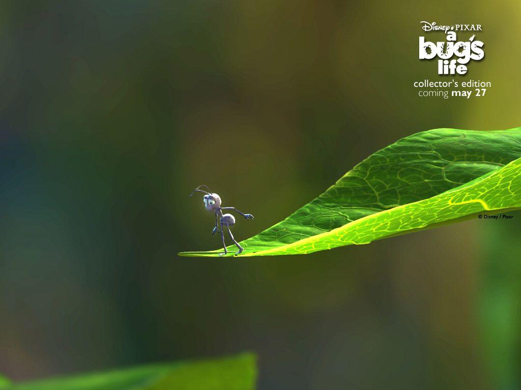 A Bug's Life Wallpapers - Top Free A Bug's Life Backgrounds ...