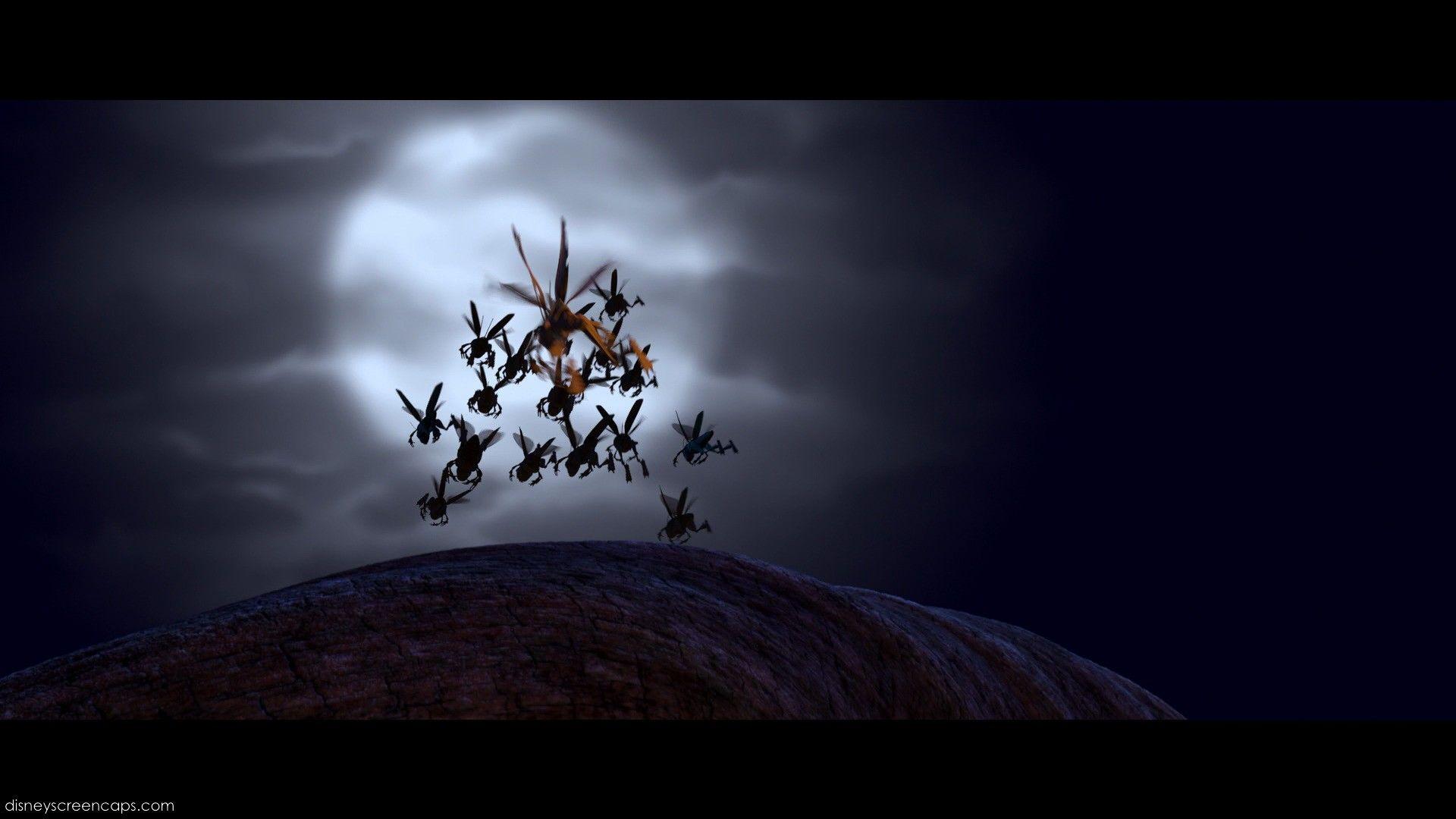 1920x1080 Thumper (A Bug's Life). Jaden's Adventures