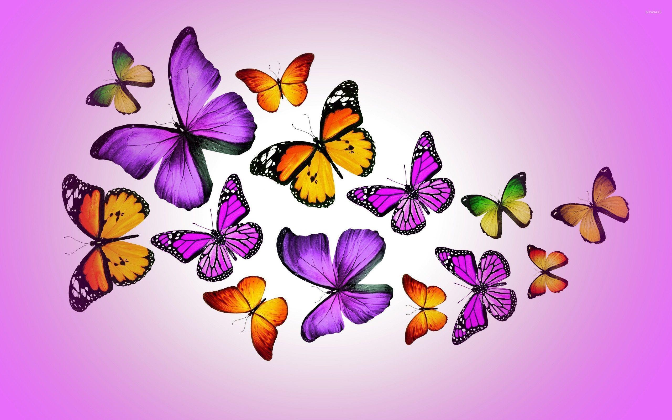 Purple Butterfly Wallpapers - Top Free Purple Butterfly ...