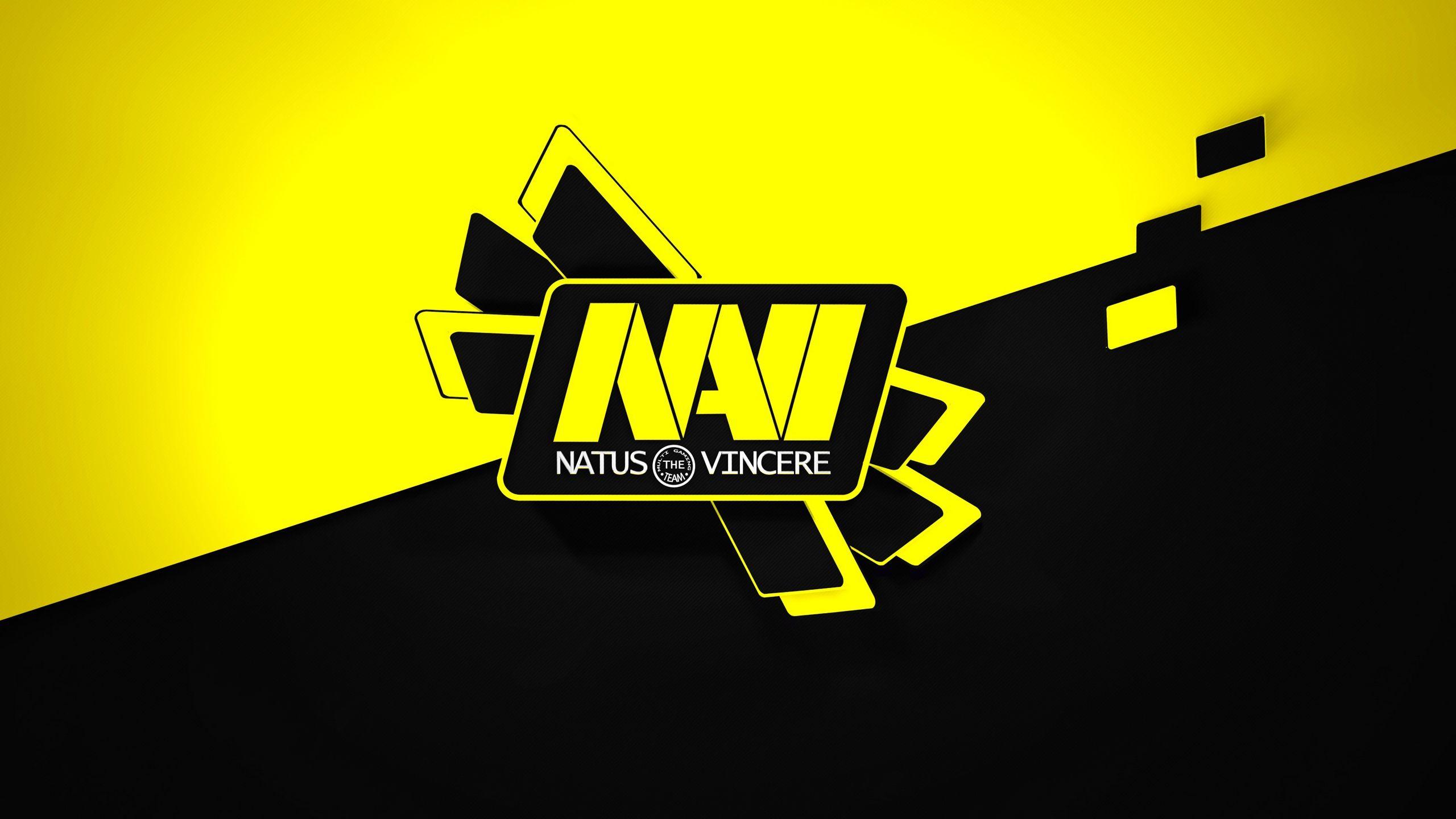 2560x1440 Download wallpaper 2560x1440 natus vincere, navi, krass