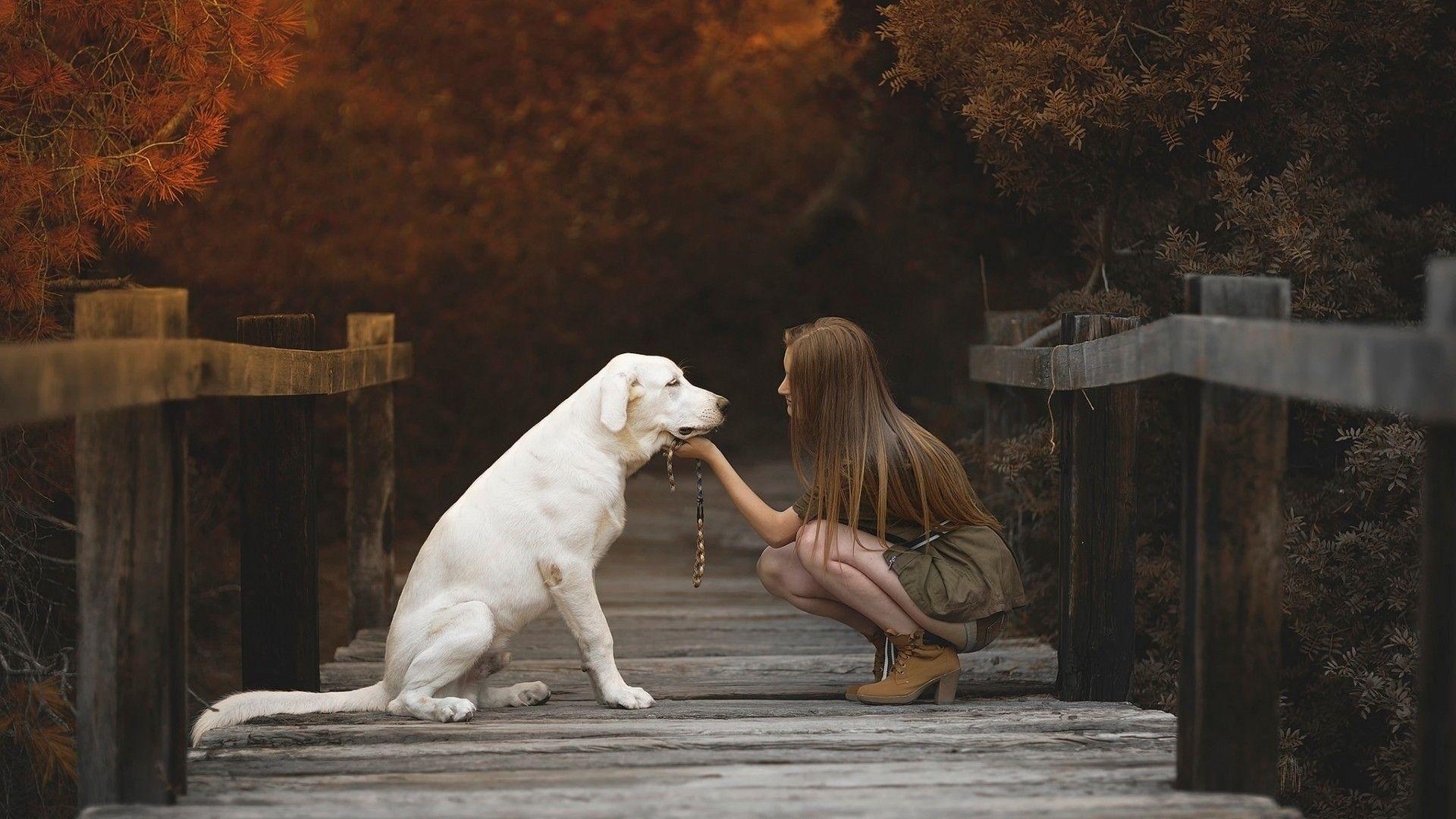 1920x1080 Labrador Retriever With Cute Girl Laptop Full HD