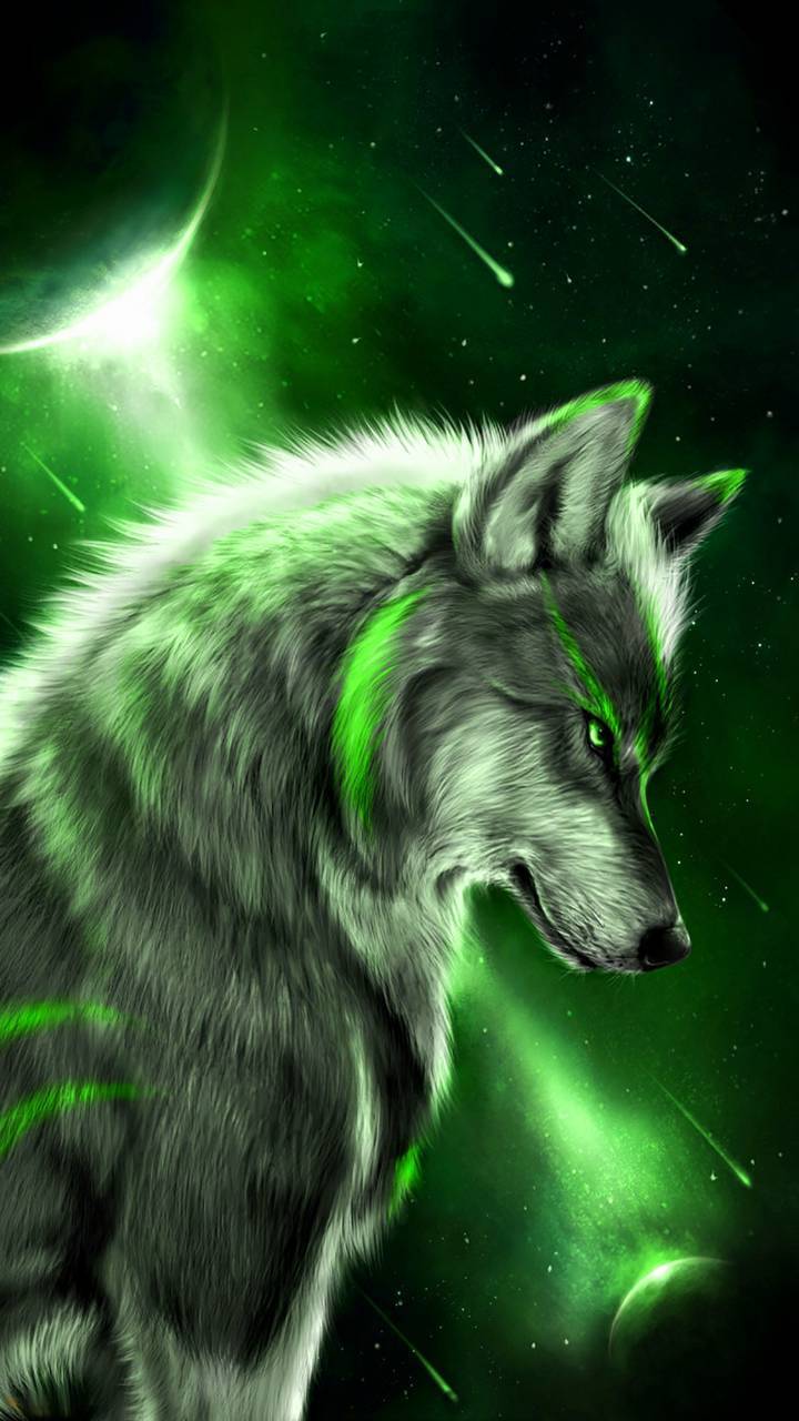 720x1280 Color wolf Wallpaper