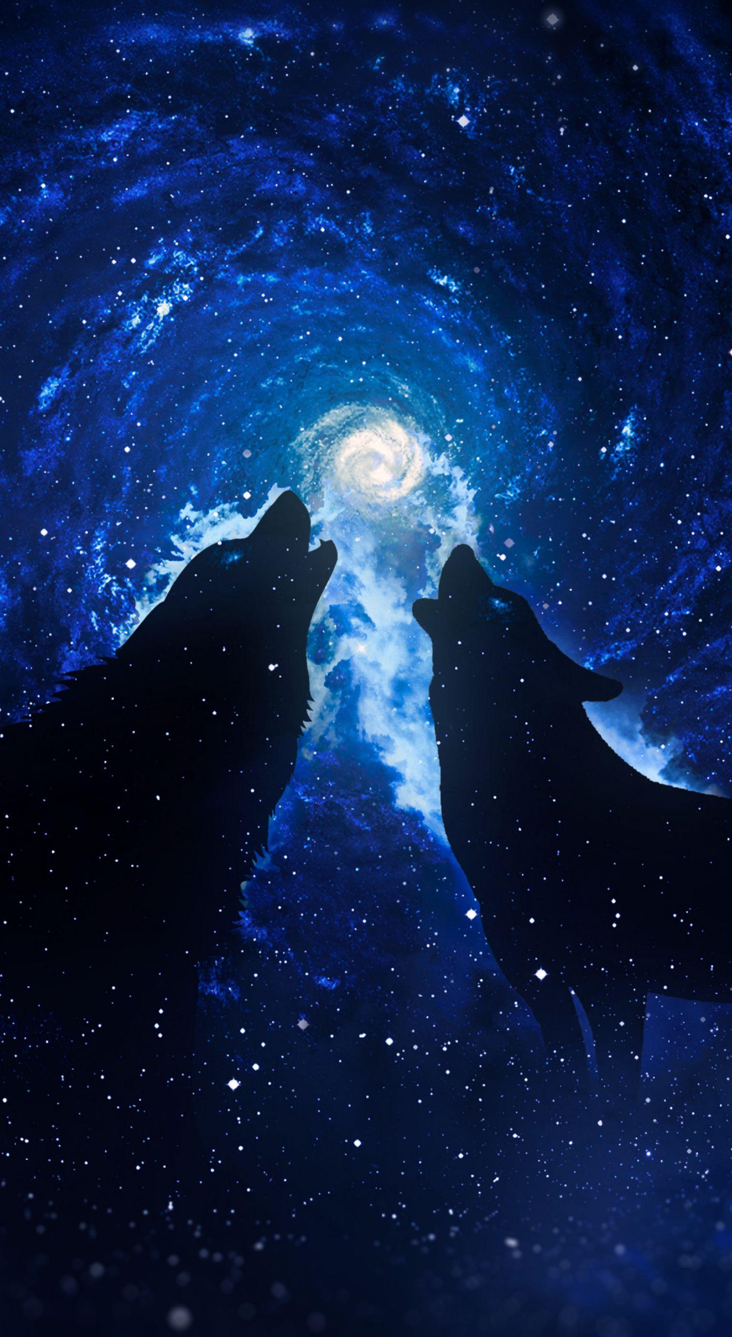 1440x2630 Tải xuống 1440x2630 hình nền chó sói, bóng, bầu trời đầy sao