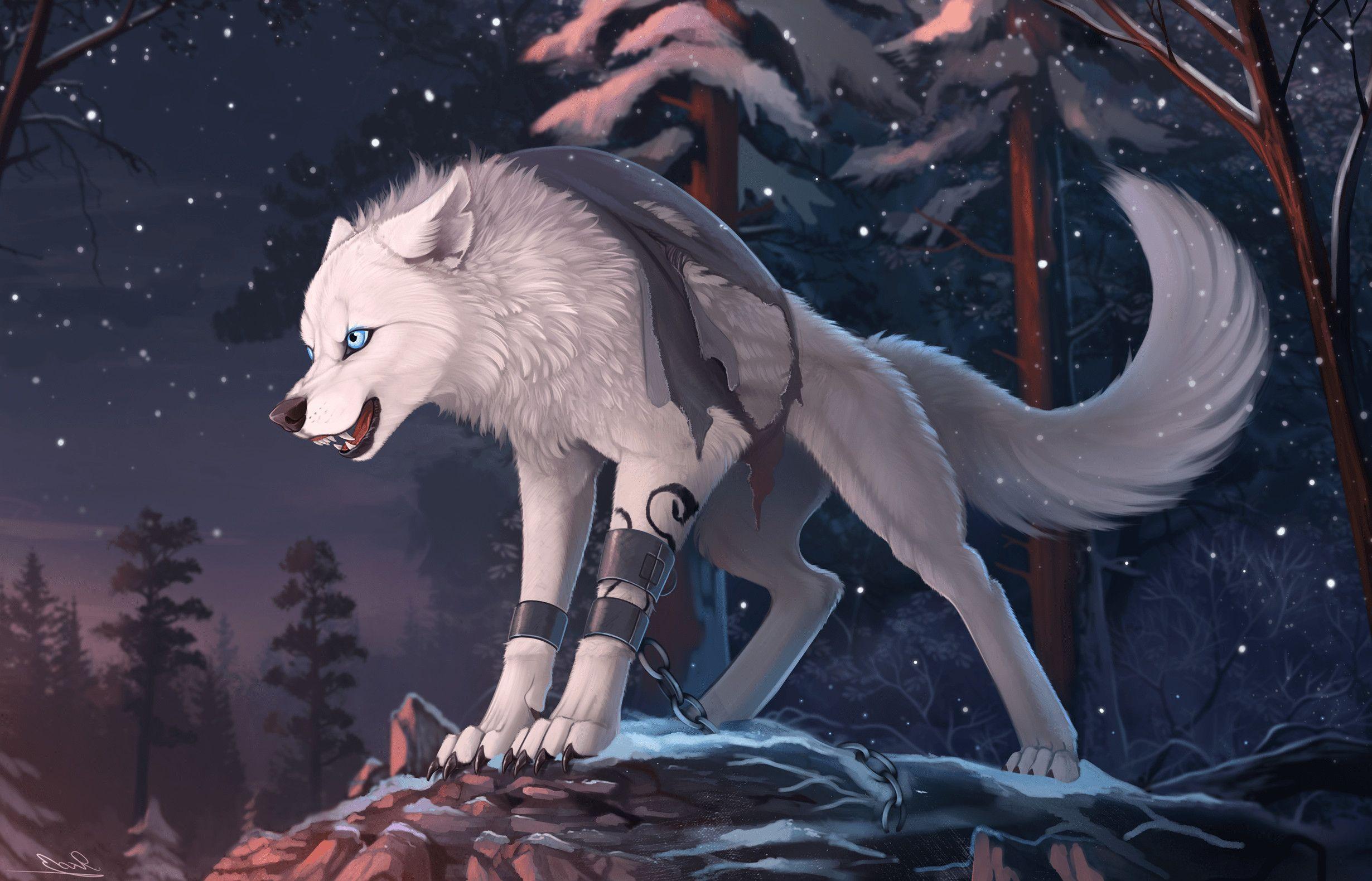 2460x1580 Furry Wolf Wallpaper