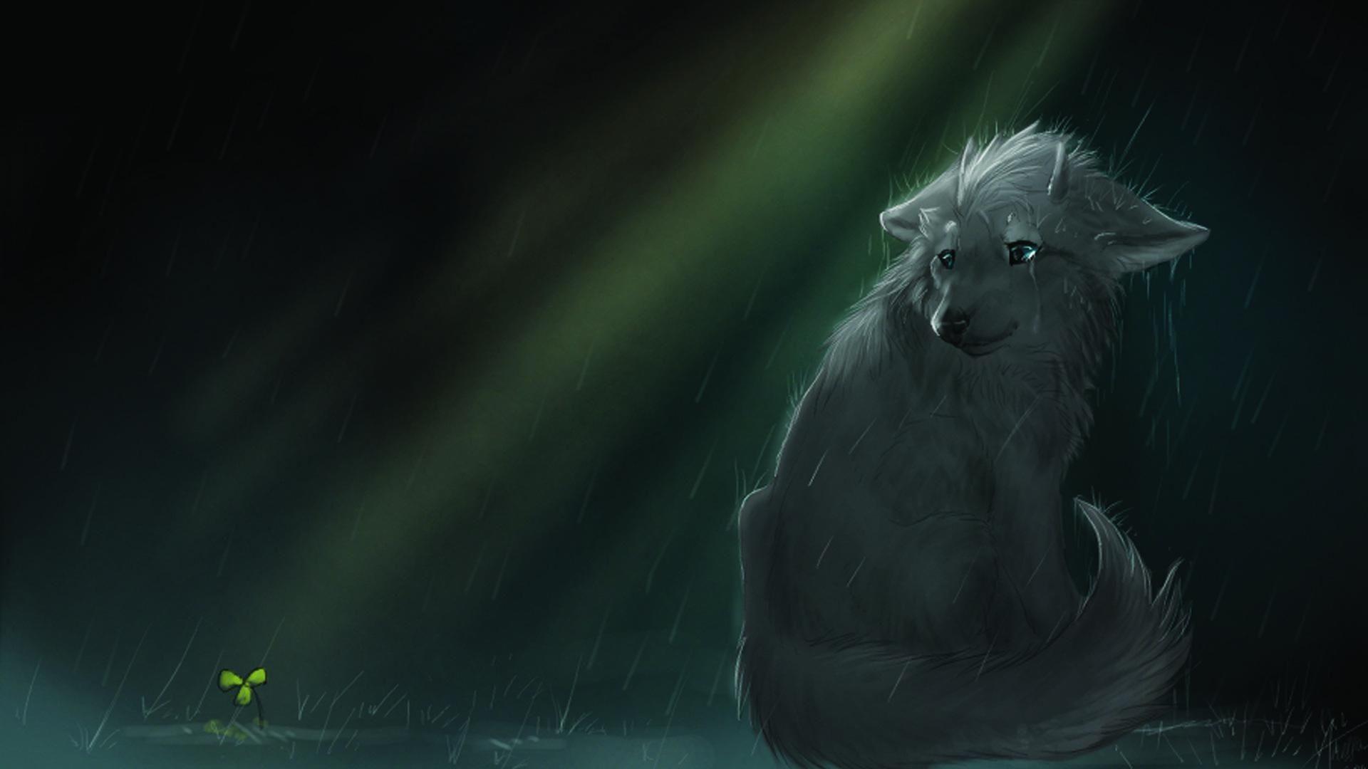 1920x1080 Moving Wolf Wallpaper