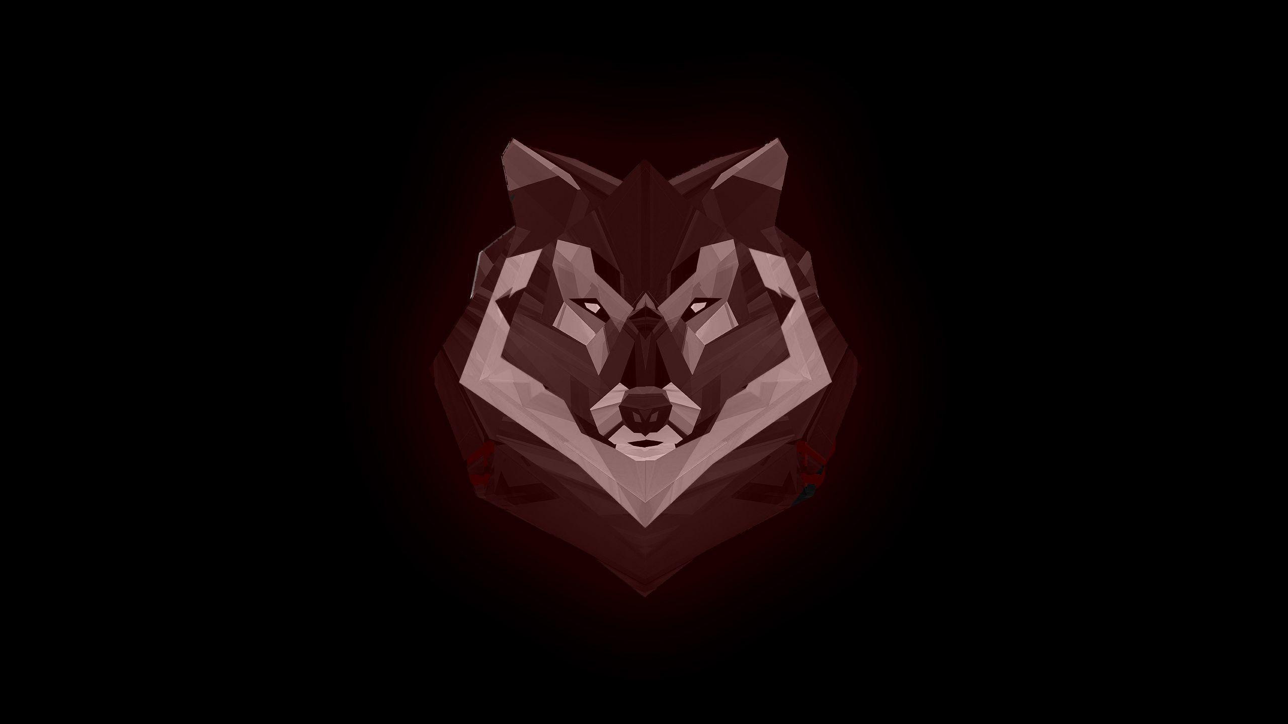 2560x1440 Wolf Wallpaper HD