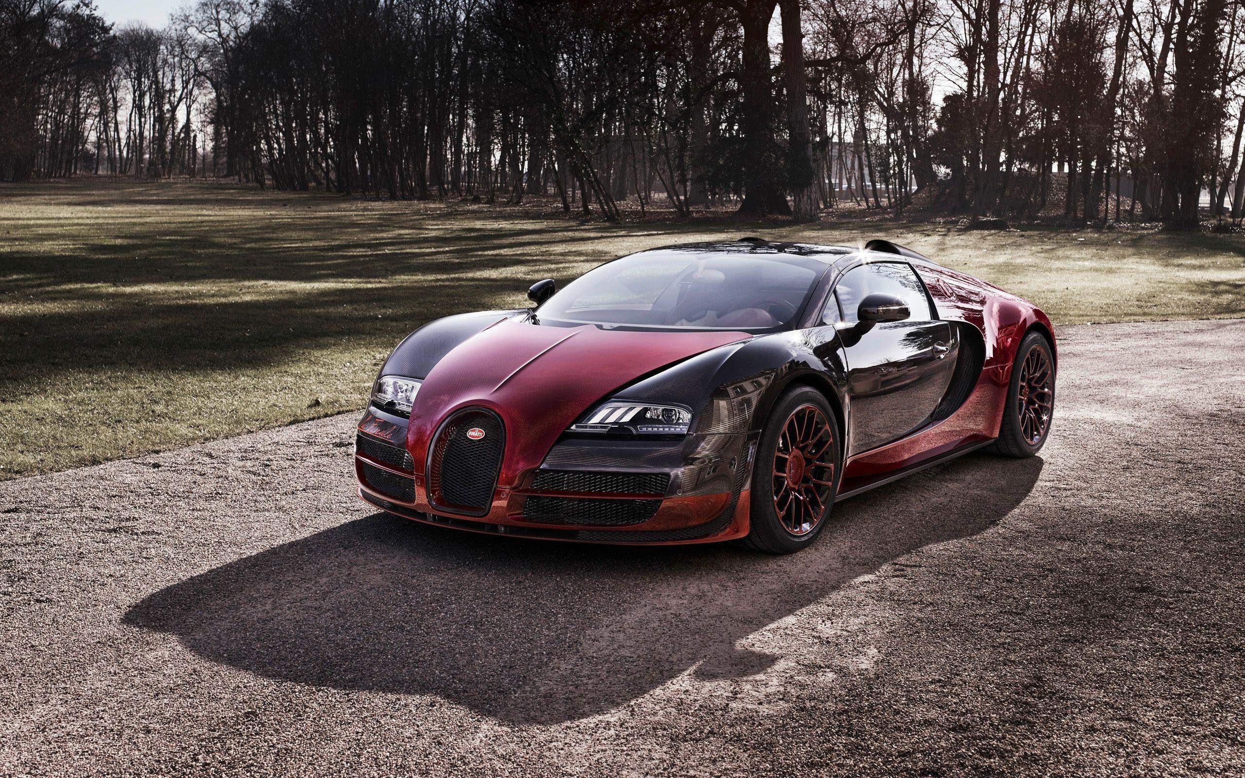 2560x1600 Bugatti Veyron Wallpaper PC XA868