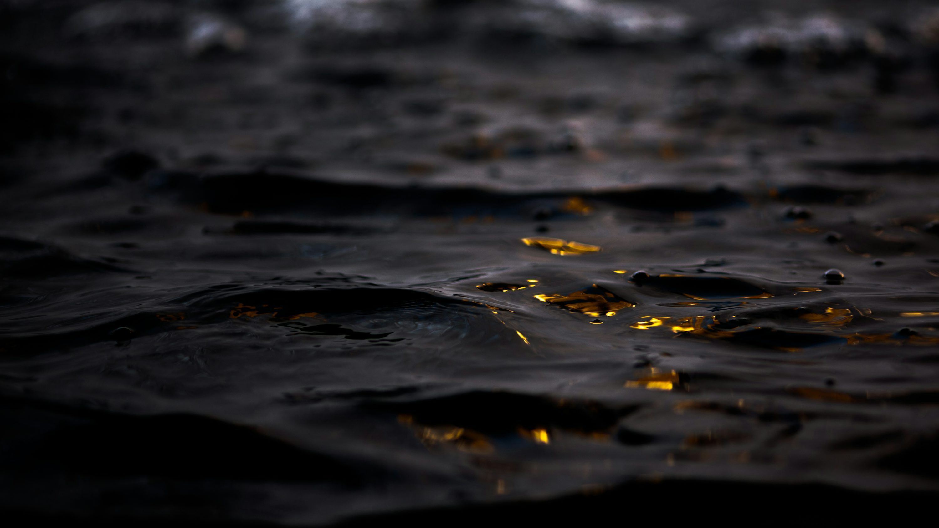3000x1688 Beautiful Free Photo Community