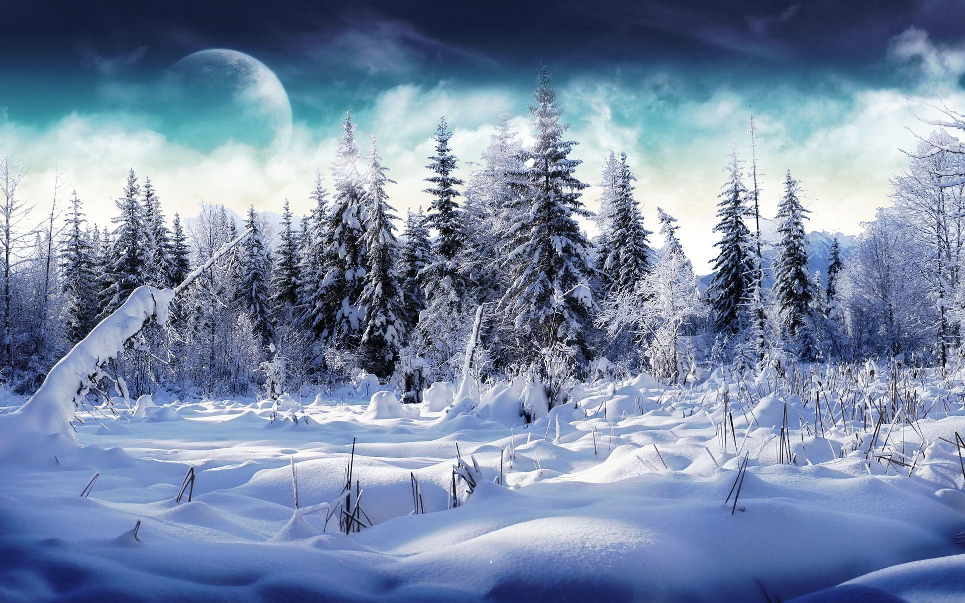1920x1200 winter wallpaper Winter Of The Future Wallpaper Winter Of